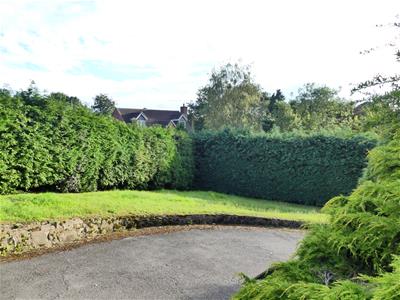 Picture 25